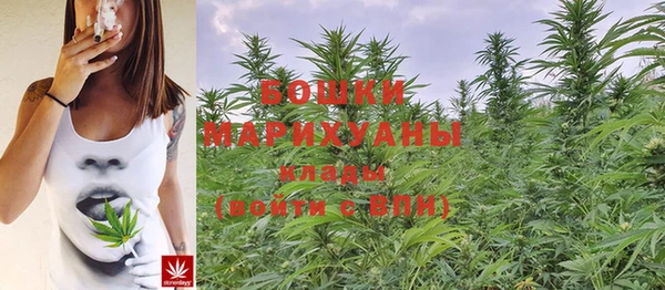 крисы Козельск