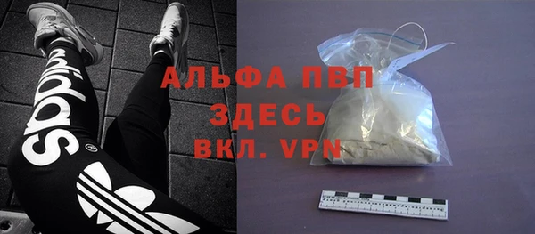 крисы Козельск