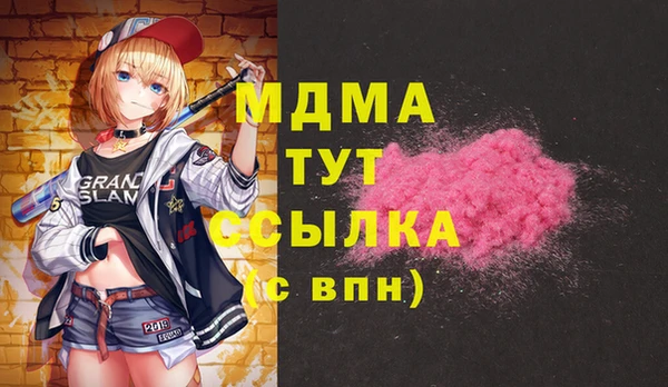 крисы Козельск