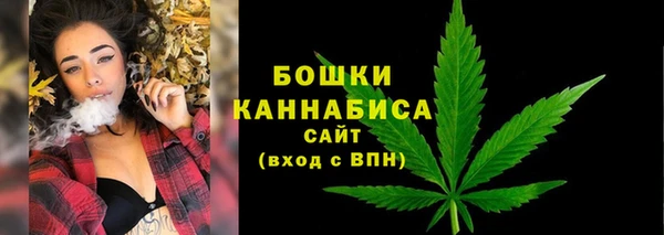 ALPHA PVP Кодинск