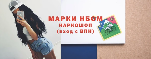 индика Киренск