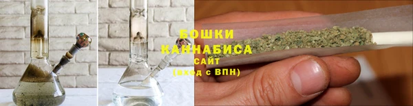 ГАЛЛЮЦИНОГЕННЫЕ ГРИБЫ Козловка