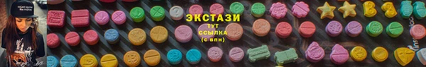 ГАЛЛЮЦИНОГЕННЫЕ ГРИБЫ Козловка