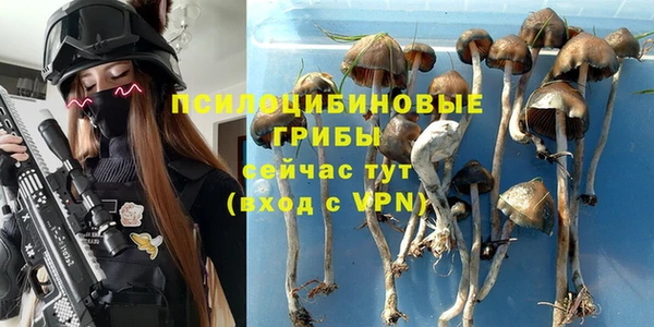 ALPHA PVP Кодинск