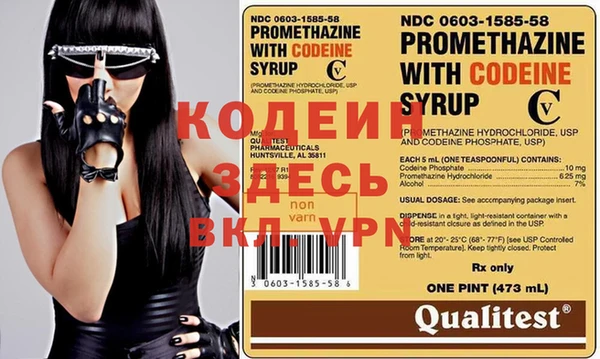 крисы Козельск