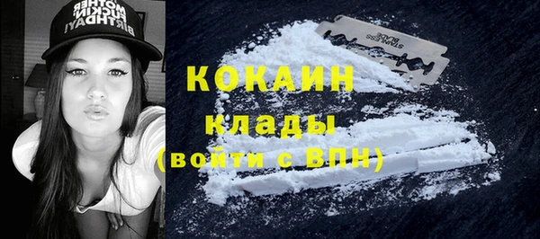 дурь Киреевск