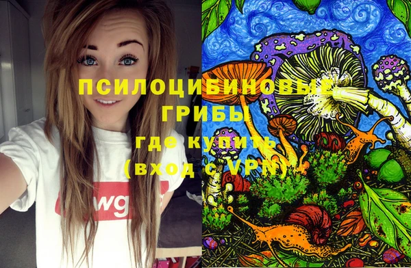 индика Киренск