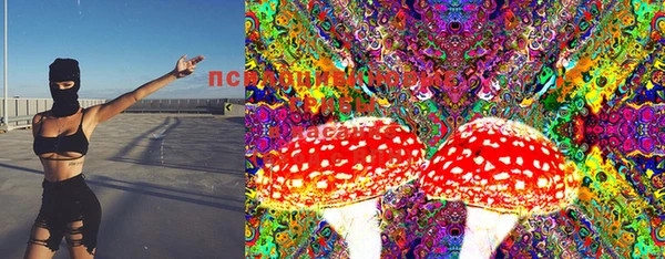 дурь Киреевск