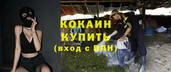 ГАЛЛЮЦИНОГЕННЫЕ ГРИБЫ Козловка