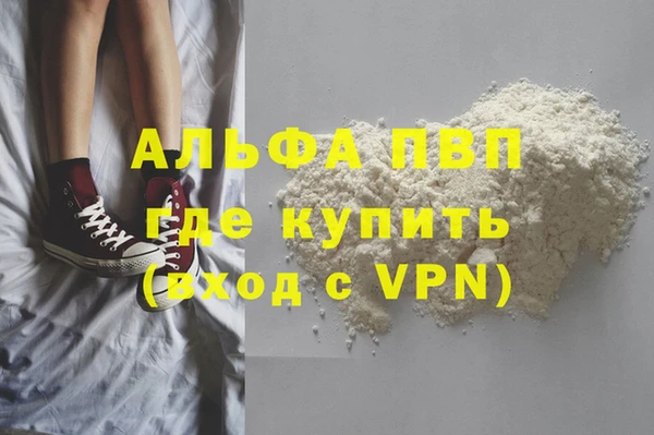 крисы Козельск