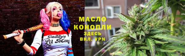 сатива Кинешма