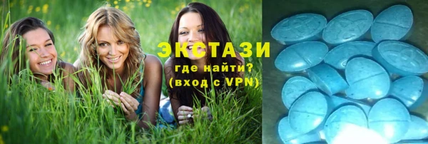 ГАЛЛЮЦИНОГЕННЫЕ ГРИБЫ Козловка