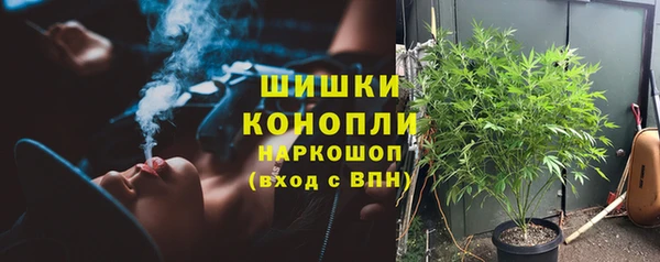 индика Киренск