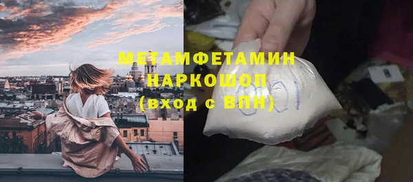 ГАЛЛЮЦИНОГЕННЫЕ ГРИБЫ Козловка
