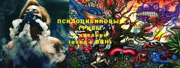 ALPHA PVP Кодинск